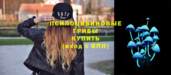 ГАЛЛЮЦИНОГЕННЫЕ ГРИБЫ Арсеньев