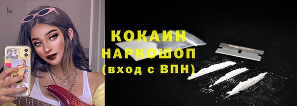 ГАЛЛЮЦИНОГЕННЫЕ ГРИБЫ Арсеньев