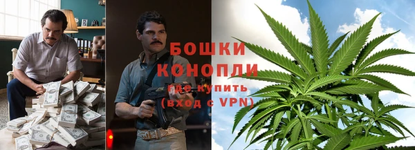 ГАЛЛЮЦИНОГЕННЫЕ ГРИБЫ Арсеньев