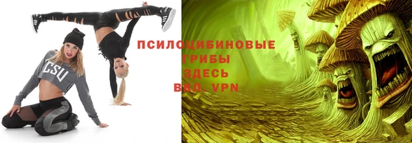 ГАЛЛЮЦИНОГЕННЫЕ ГРИБЫ Арсеньев