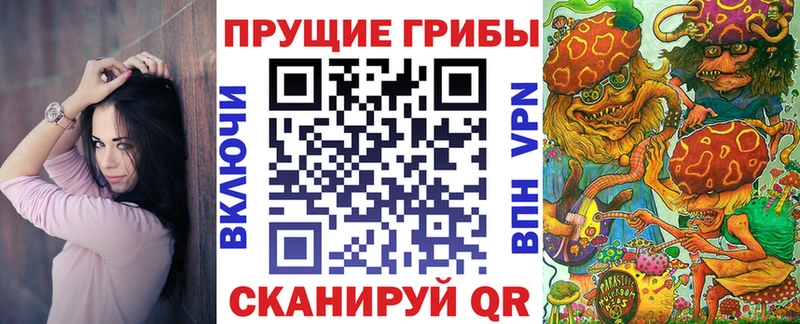 даркнет сайт  ОМГ ОМГ как зайти  Псилоцибиновые грибы Psilocybe  Богучар 