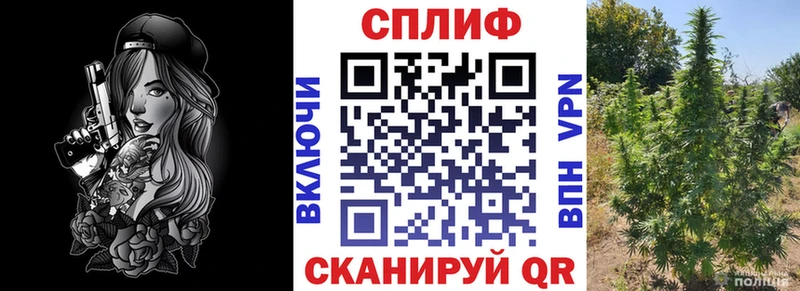 Конопля White Widow  mega ONION  Богучар 